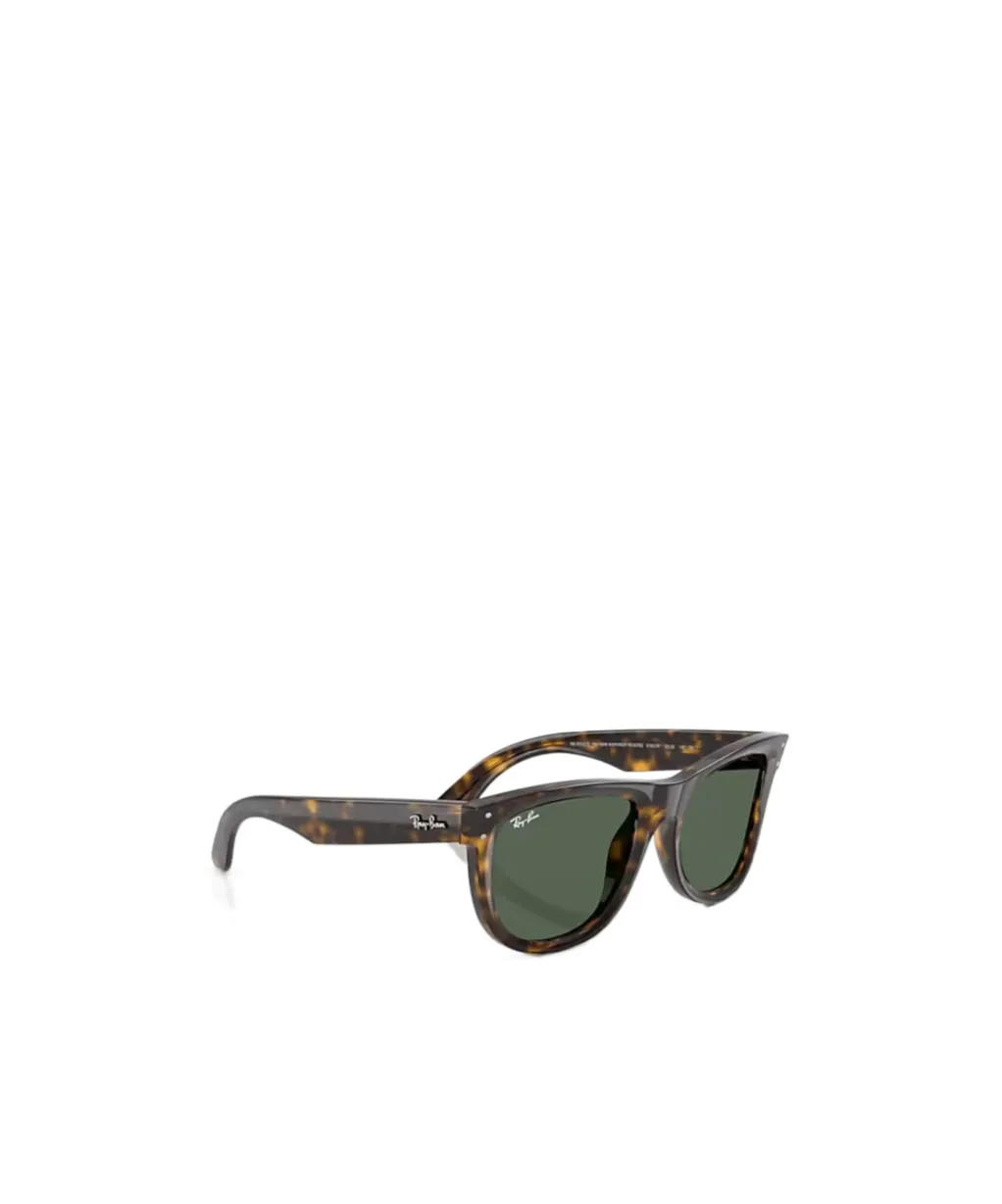 Wayfarer Reverse Sunglasses