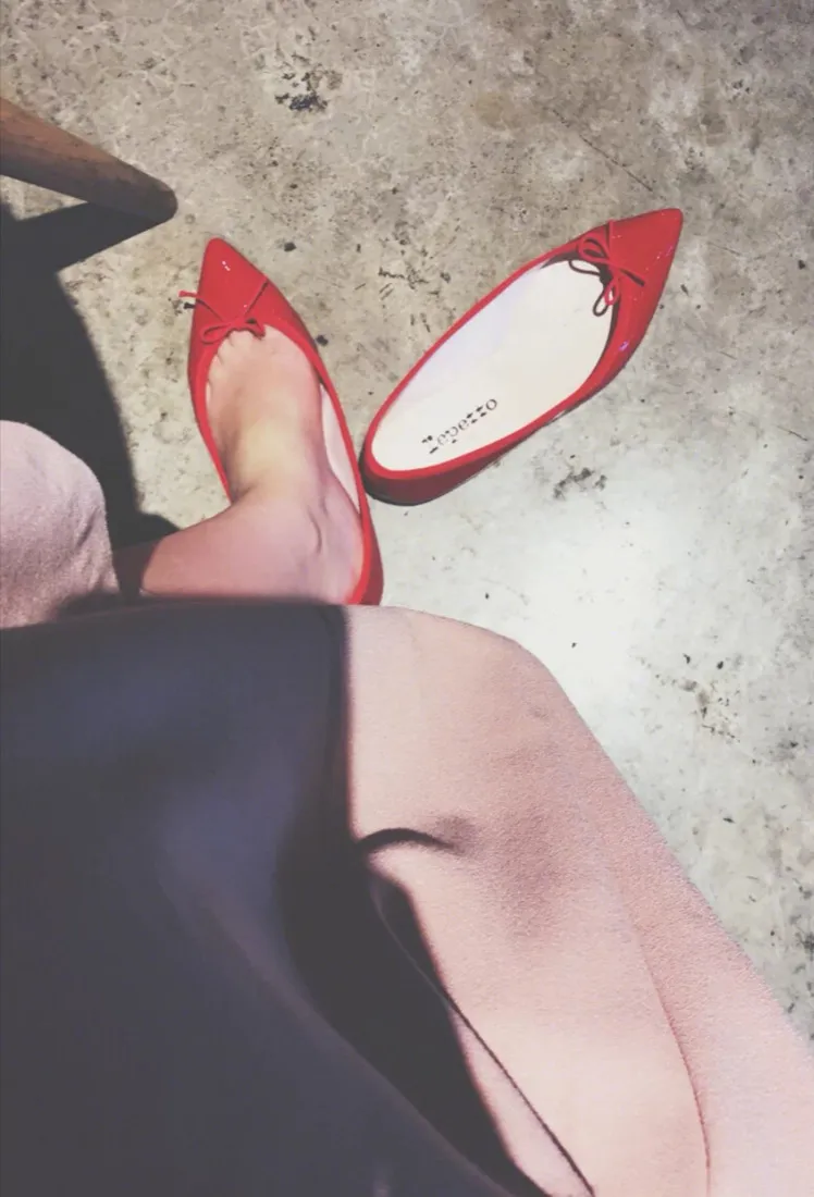 Brigitte Pointed Toe Ballet Flats