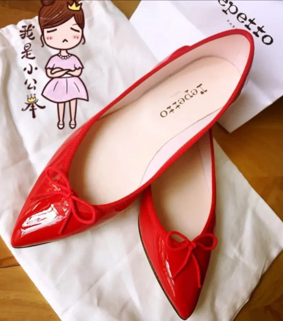 Brigitte Pointed Toe Ballet Flats