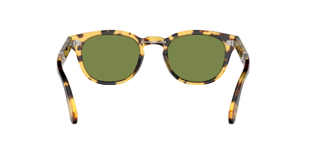 Tortoiseshell-Frame Design Sunglasses