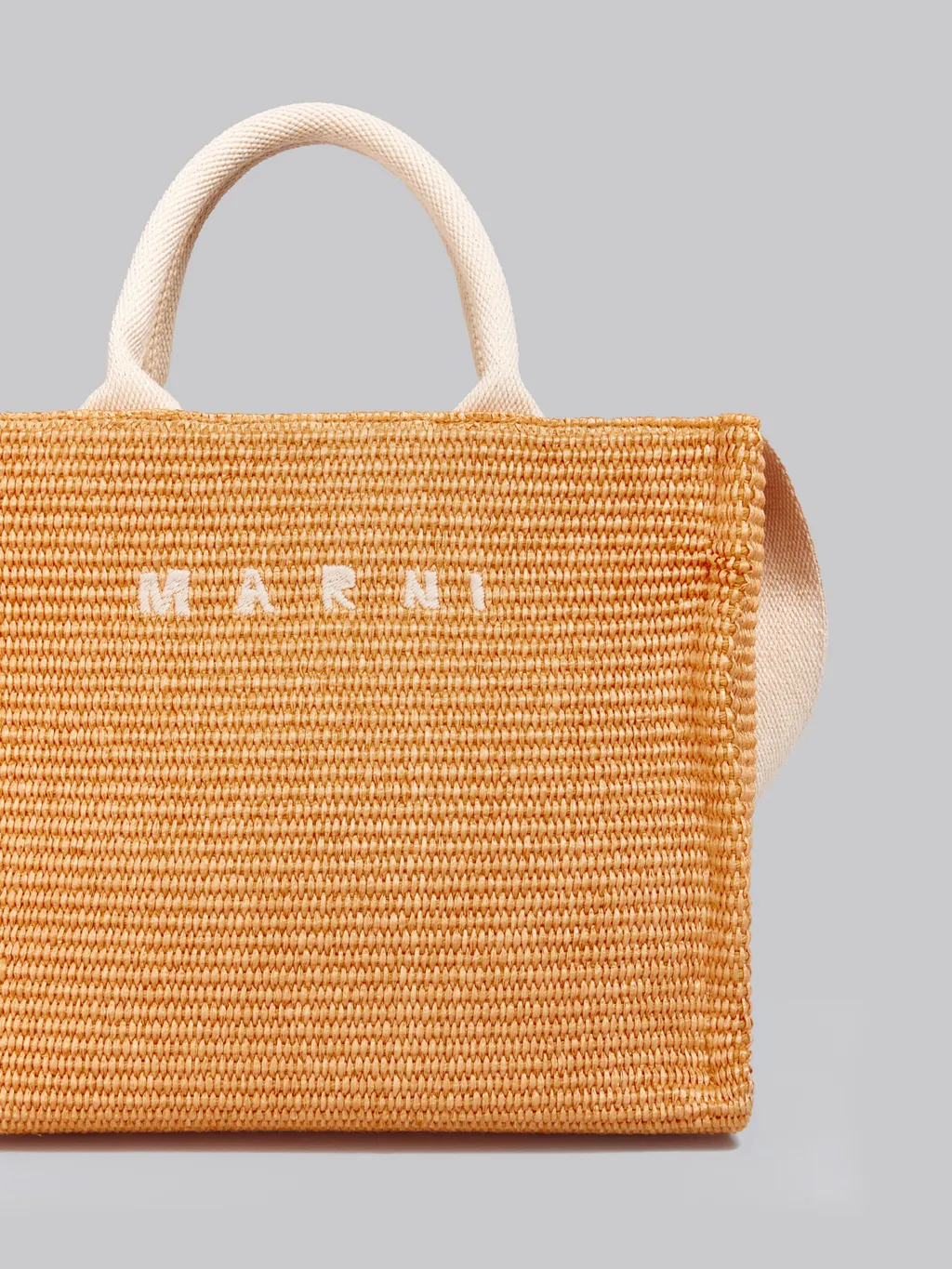 Tropicalia Logo Embroidered Small Tote Bag