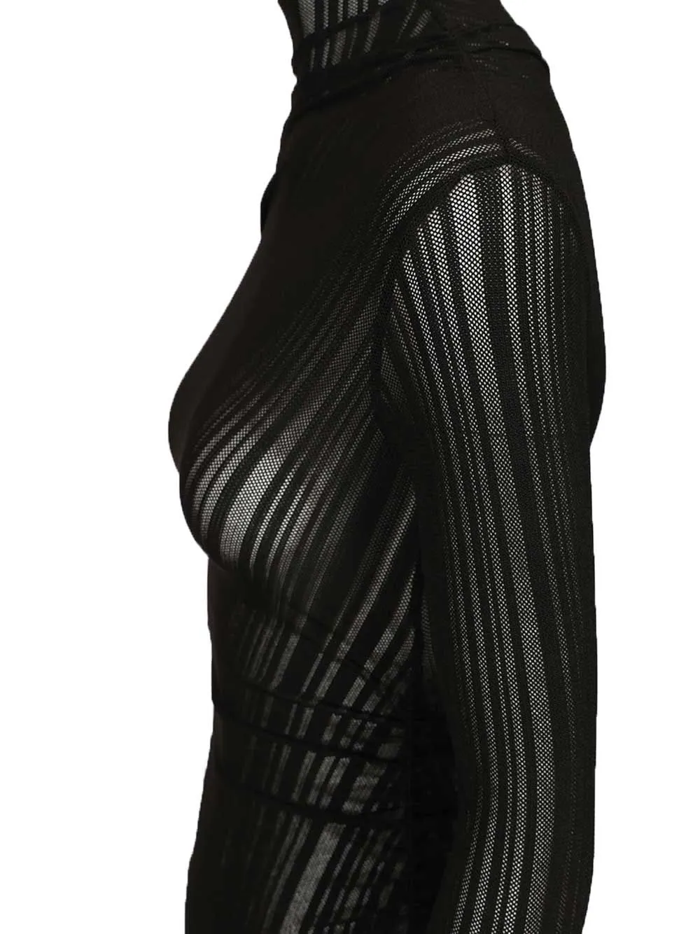 Qinuvb Sheer Turtleneck Top
