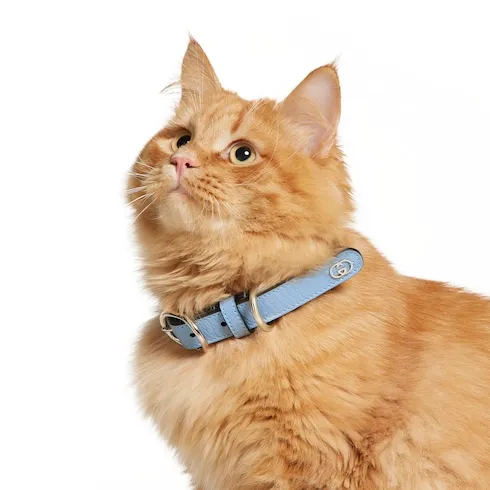 Small/Medium Collar