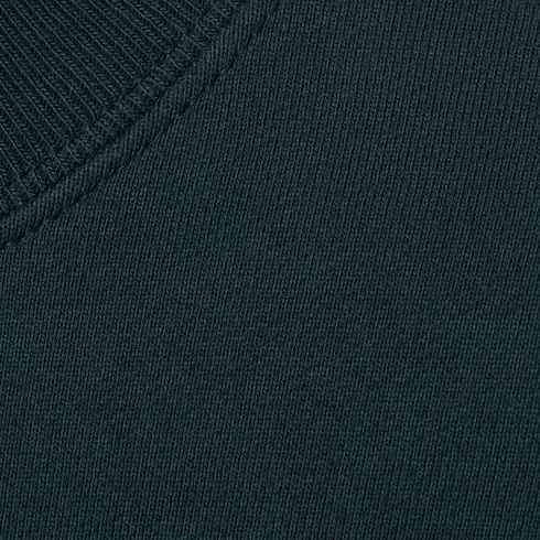 Brushed Cotton Jersey Sweatshirt