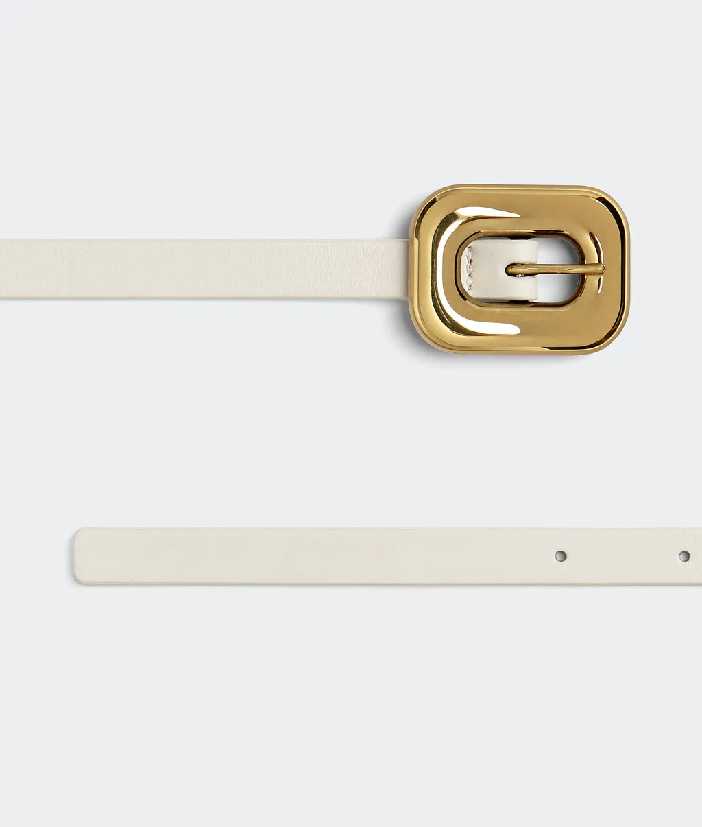 Chain Link Belt