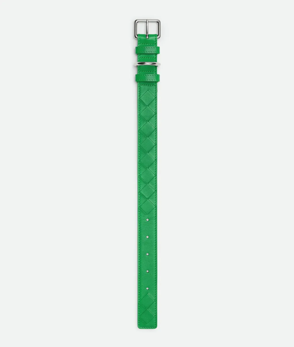Medium Intrecciato Dog Collar