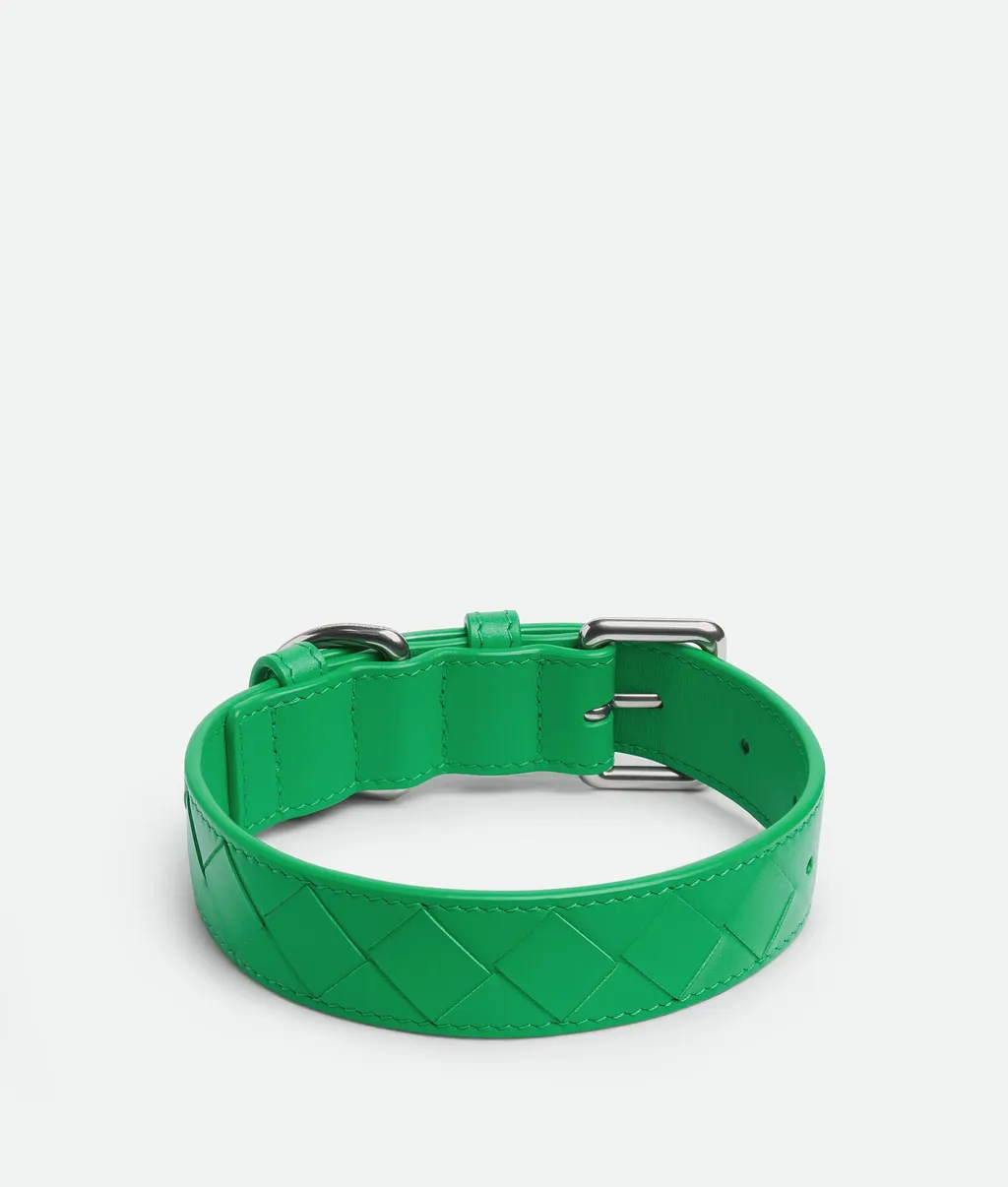 Medium Intrecciato Dog Collar