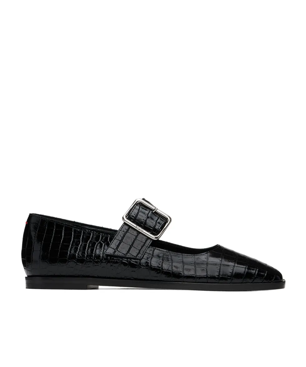 Sunny Alligator Flats