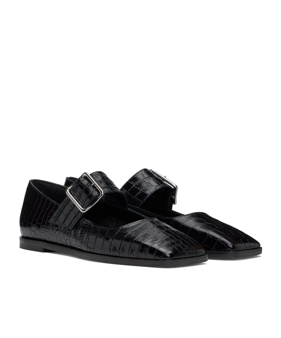 Sunny Alligator Flats