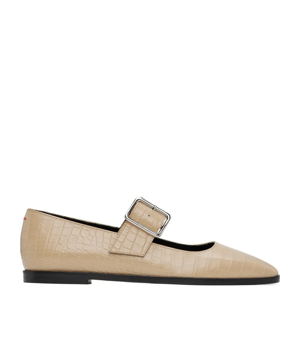 Sunny Alligator Flats