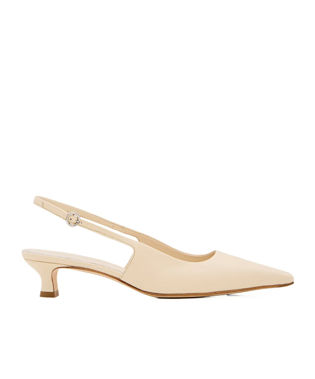 Pointed Slingback Low Heels