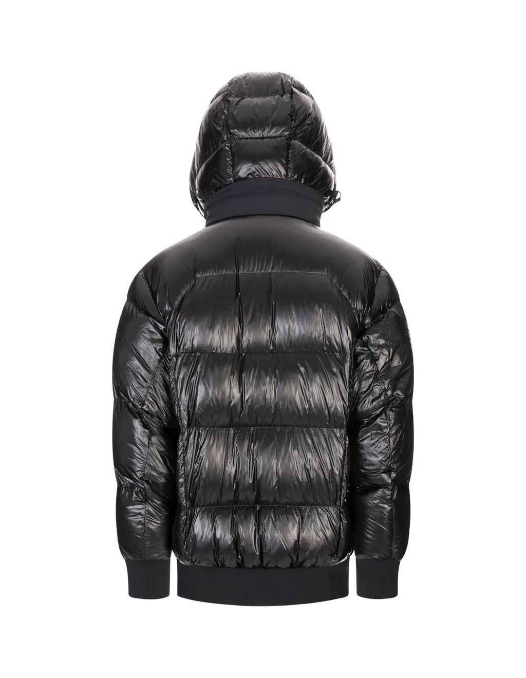 High Neck Padded Coat