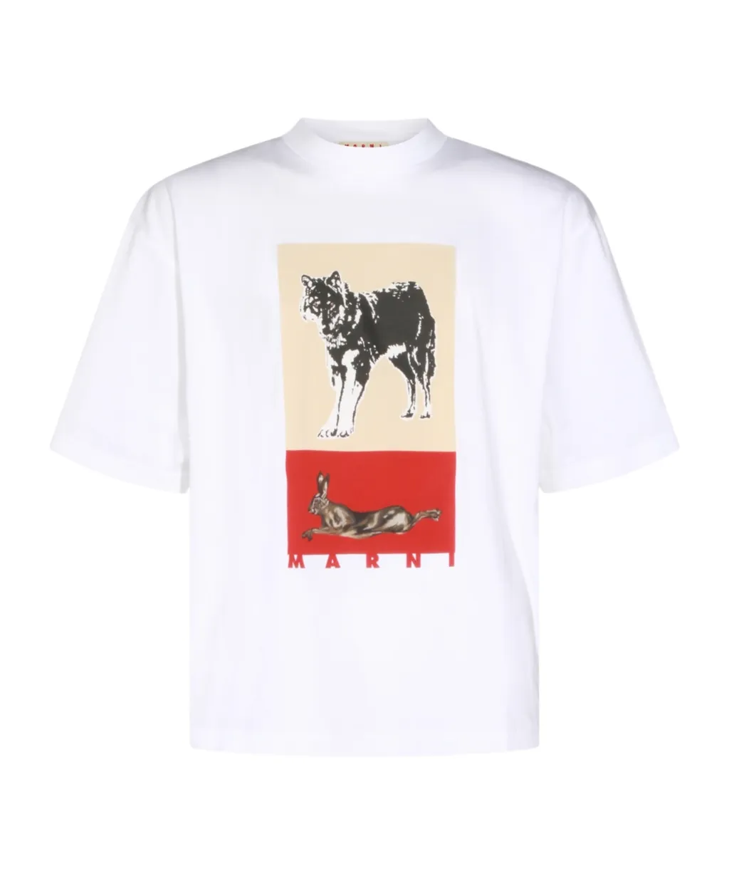 Short Sleeve Printed T-Shirt