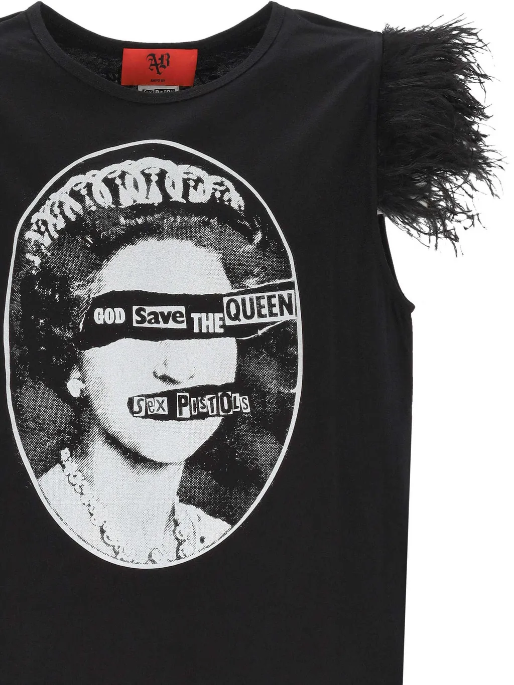 Printed Graphic T-Shirt With Feather Trim