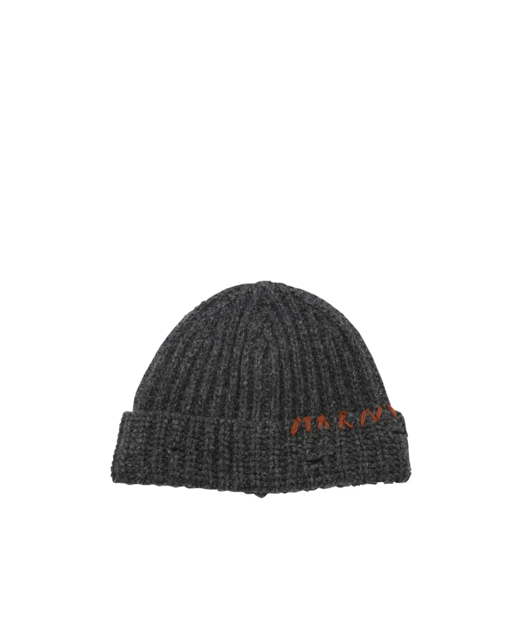 Logo Embroidered Beanie