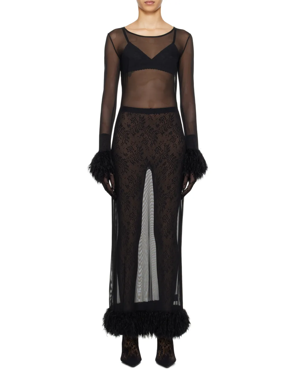 Sheer Long Sleeved Dress