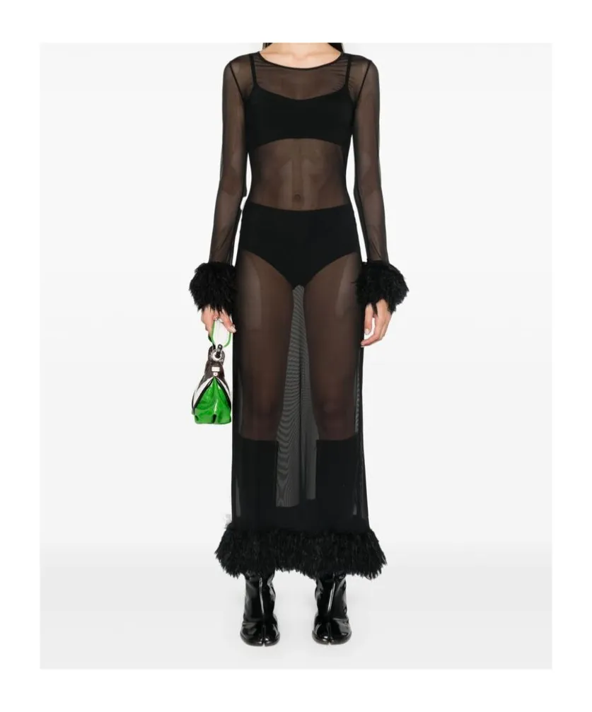 Sheer Long Sleeved Dress