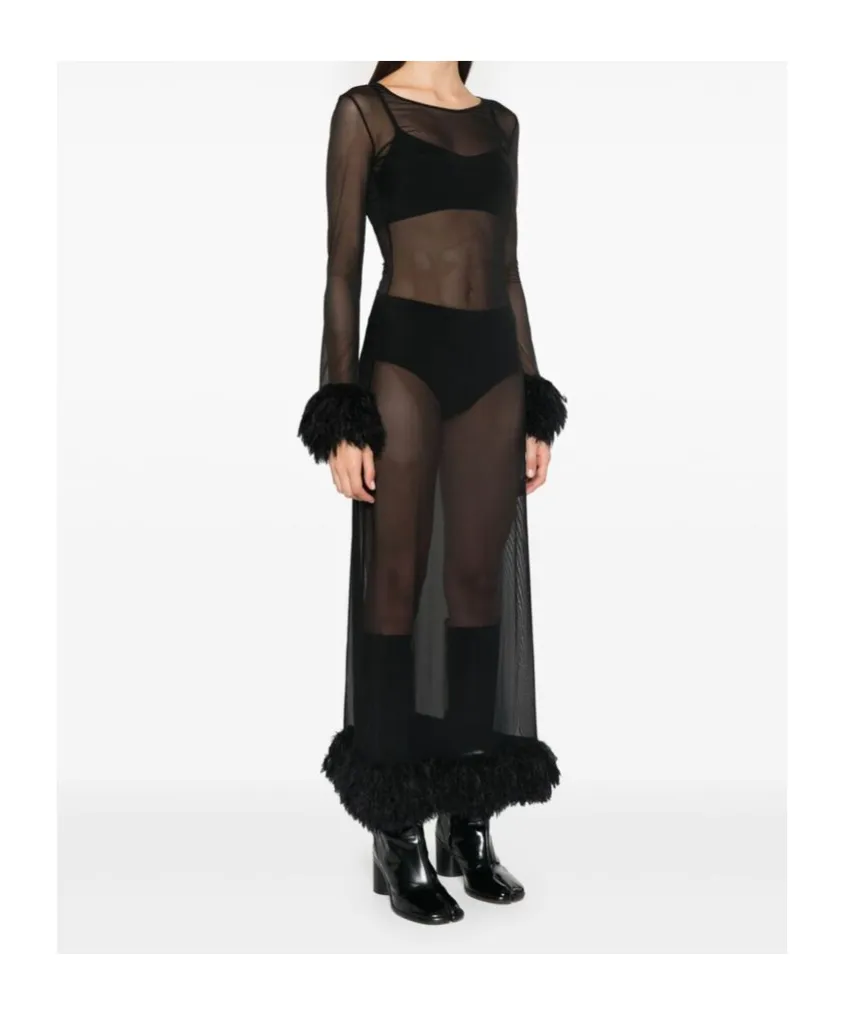 Sheer Long Sleeved Dress
