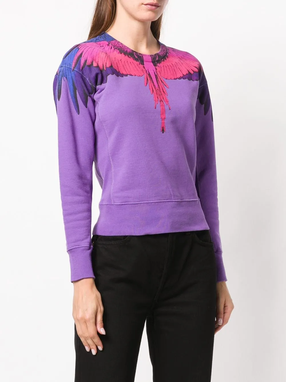 Bird Feather Flying Wing Printed Pullover
