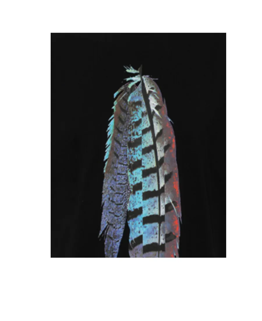 Feather Printed T-Shirt