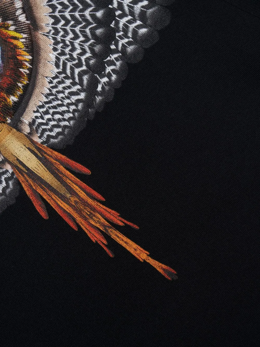 Wings Printed Sweatshirt