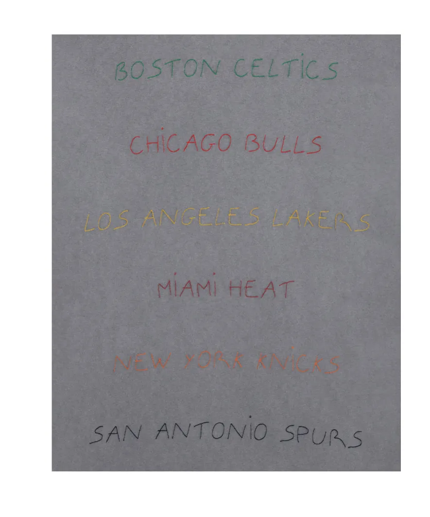 Nba Embroidered T-Shirt