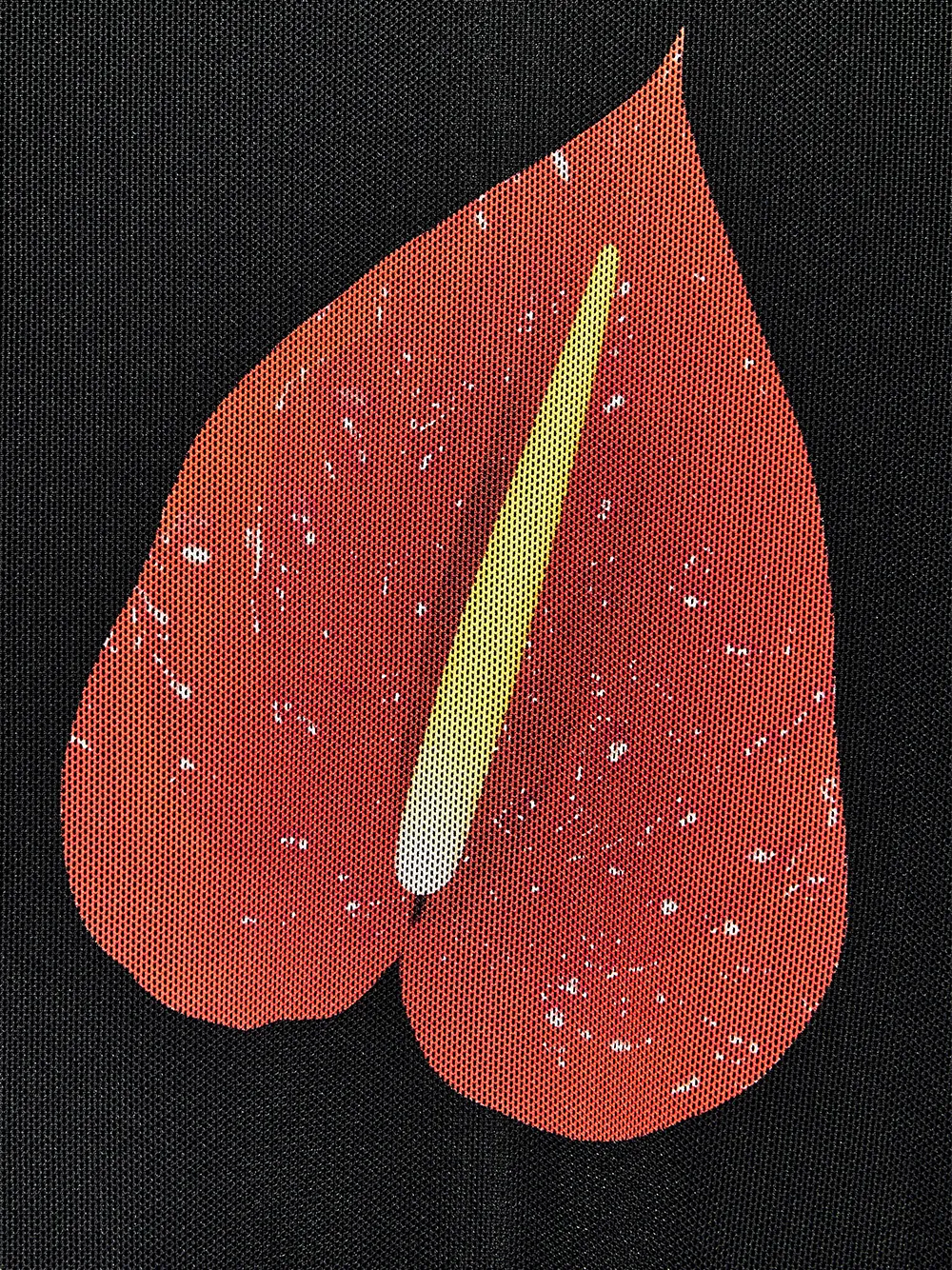 Anthurium Semi Sheer Mesh Top