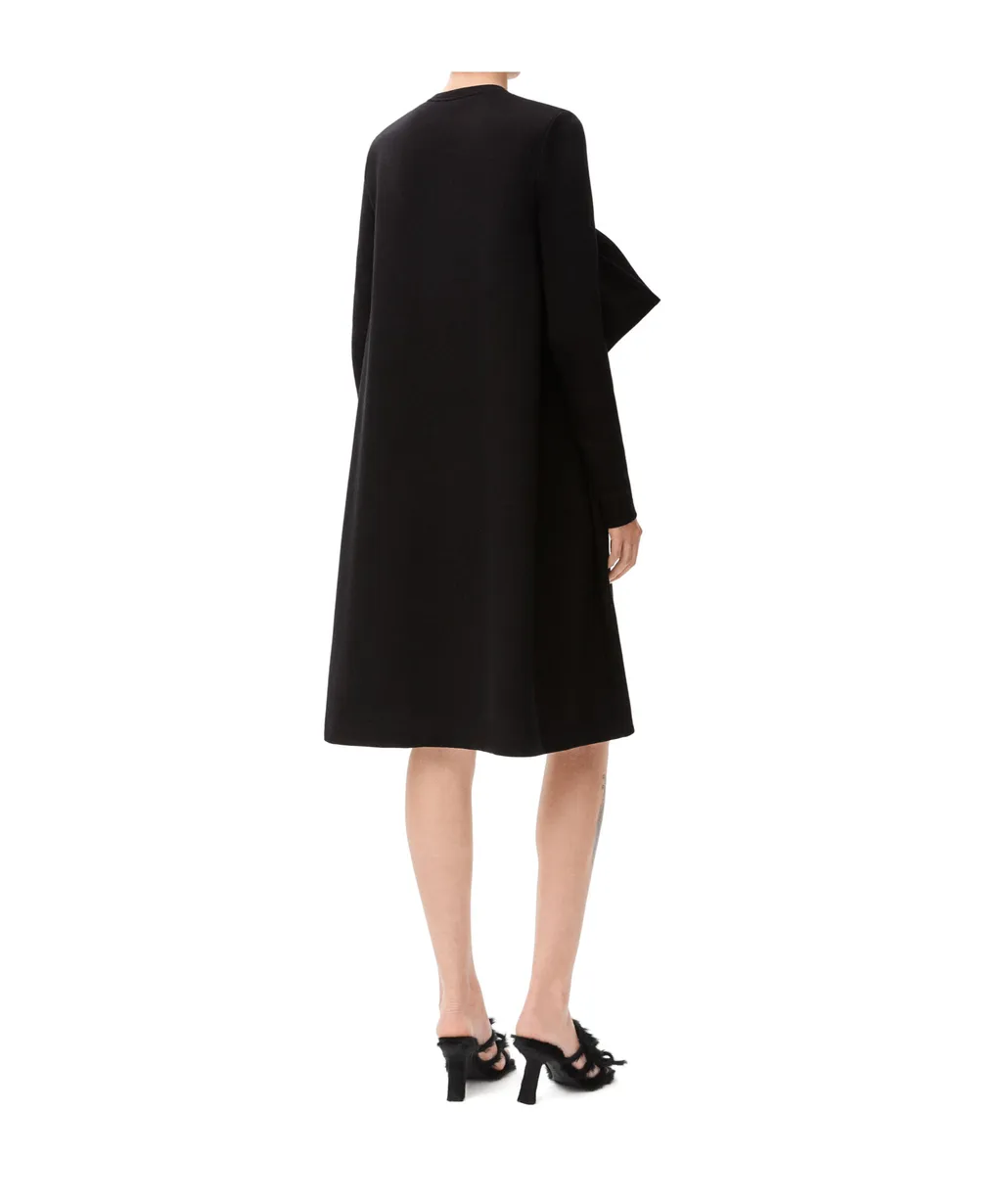 Trapeze Dress