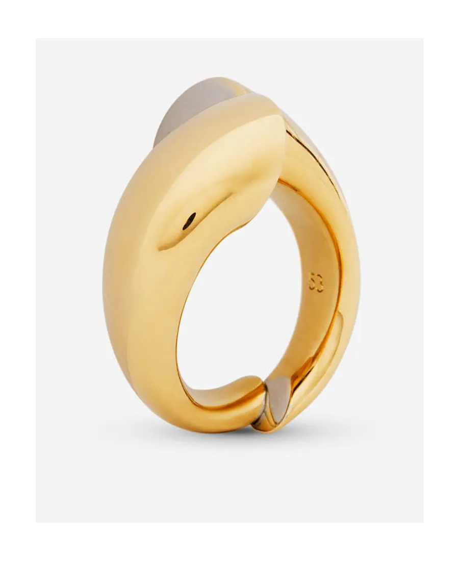 Polished Chunky Ring