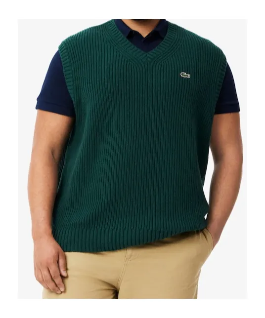 Sleeveless V-Neck Vest