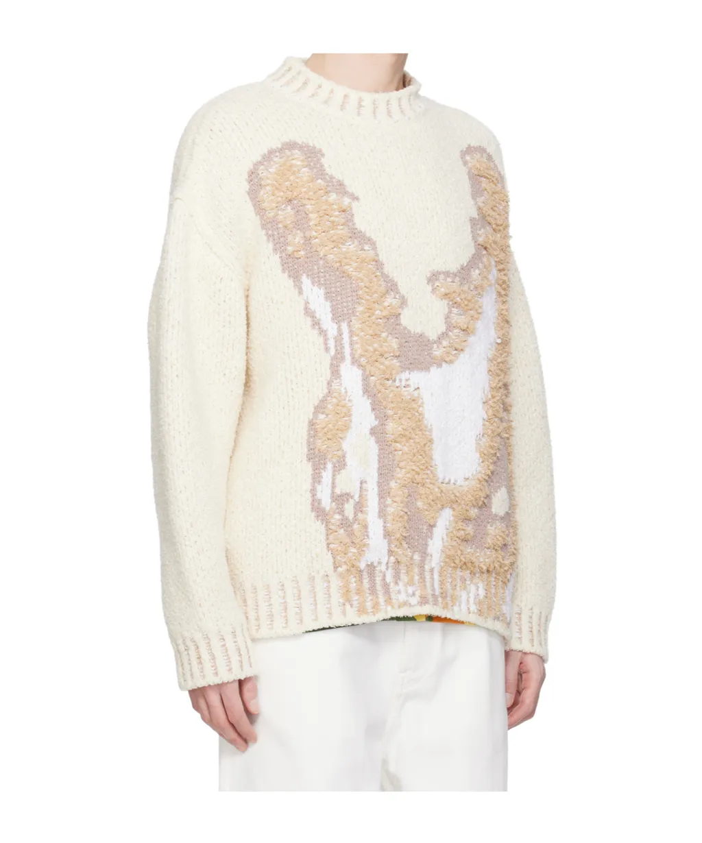 Long-Sleeved Sweater
