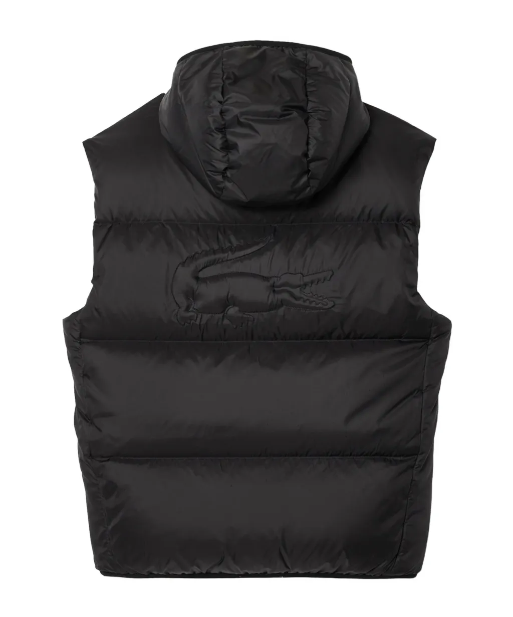 Padded Gilet