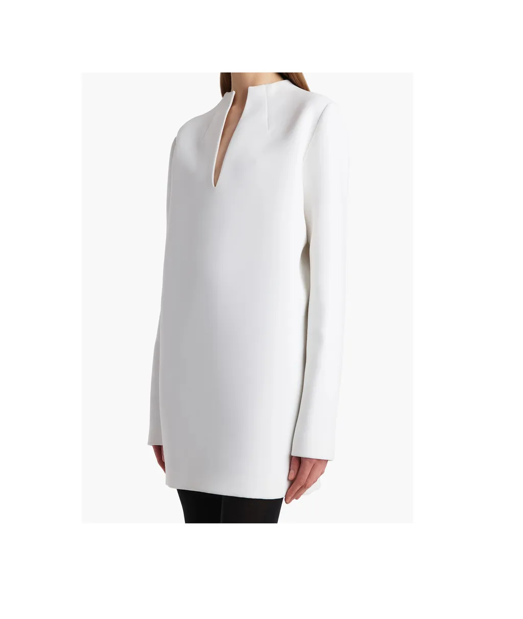 Aleena Dress