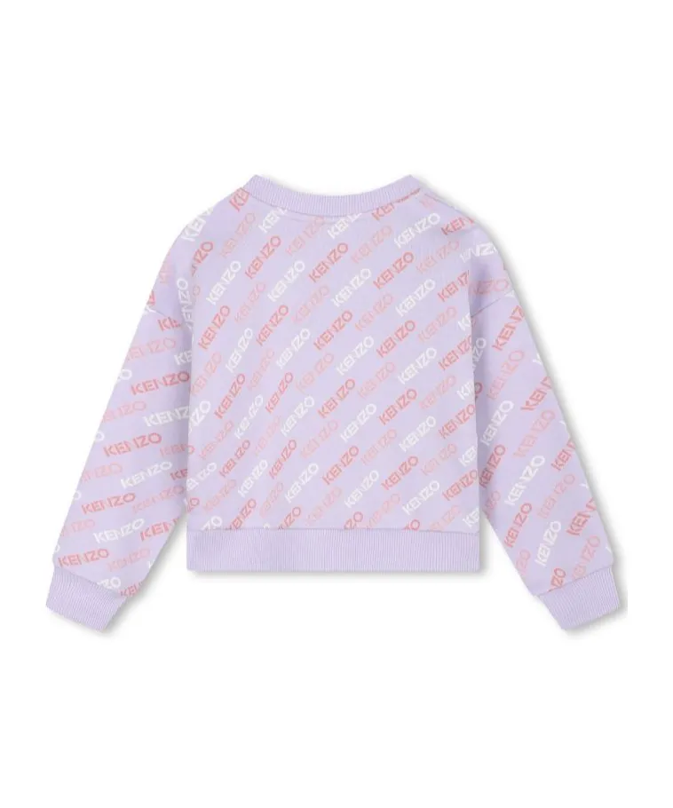 Long-Sleeved Sweater