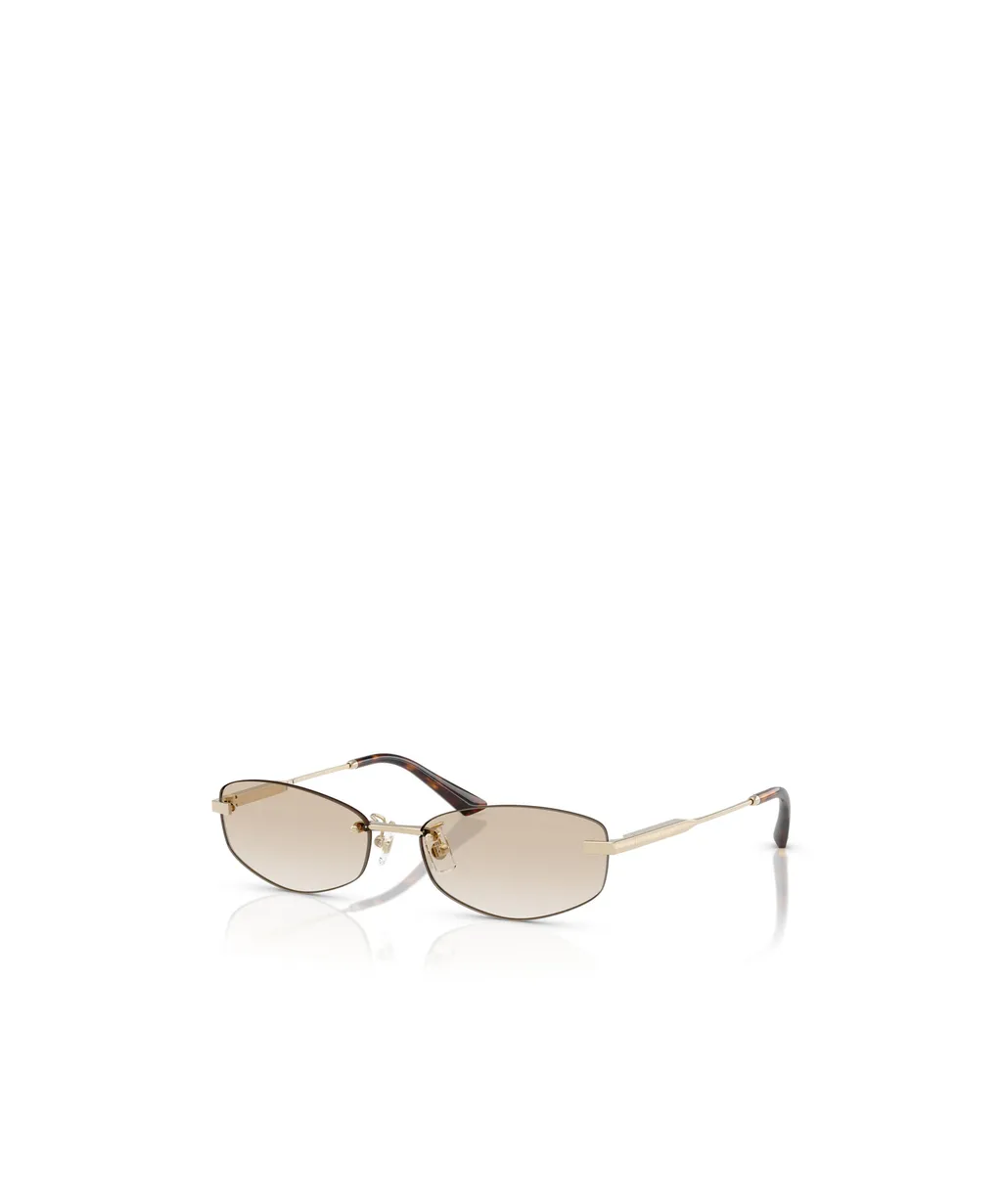 Elliptical Sunglasses