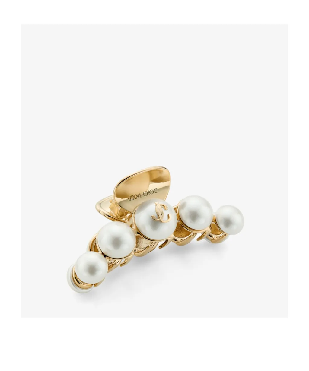 Claw Hair Clip