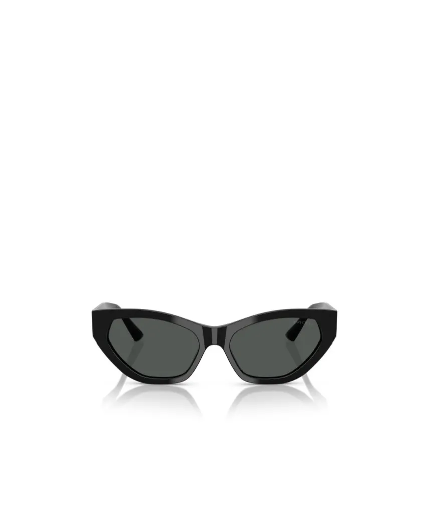 Cat Eye Frame Sunglasses