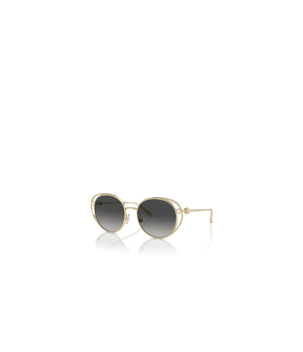 Round Frame Sunglasses
