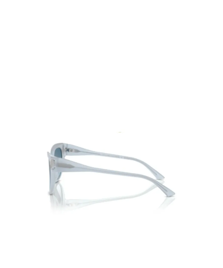 Square Frame Sunglasses
