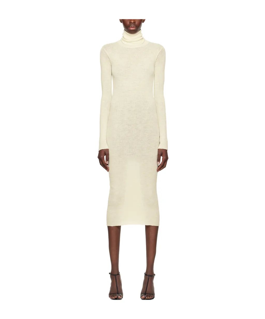 Rib Knitted Dress