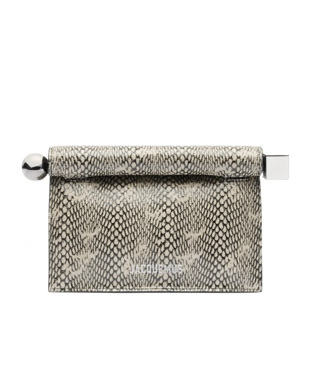 La Petite Pochette Snake Print Clutch