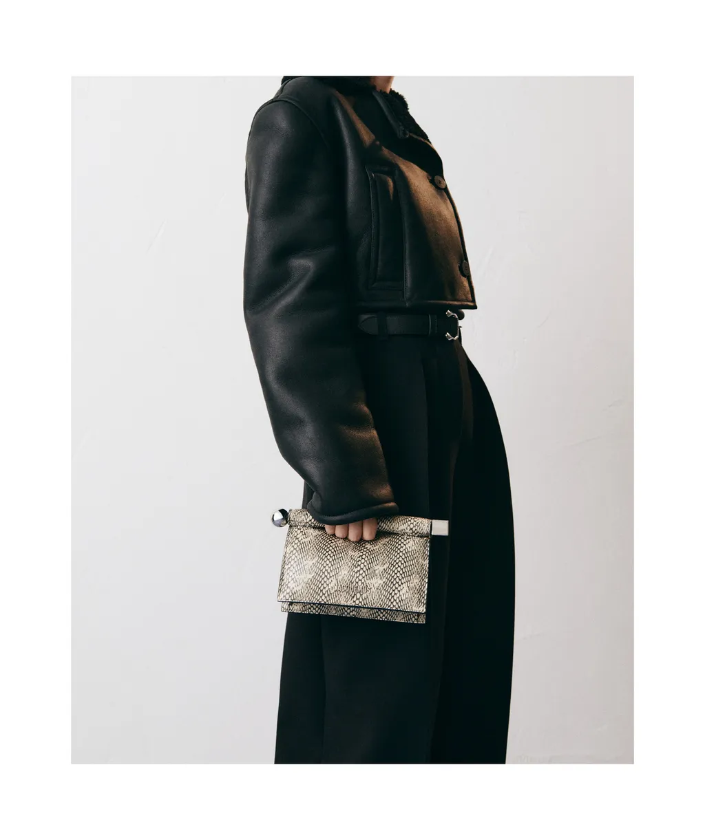 La Petite Pochette Snake Print Clutch