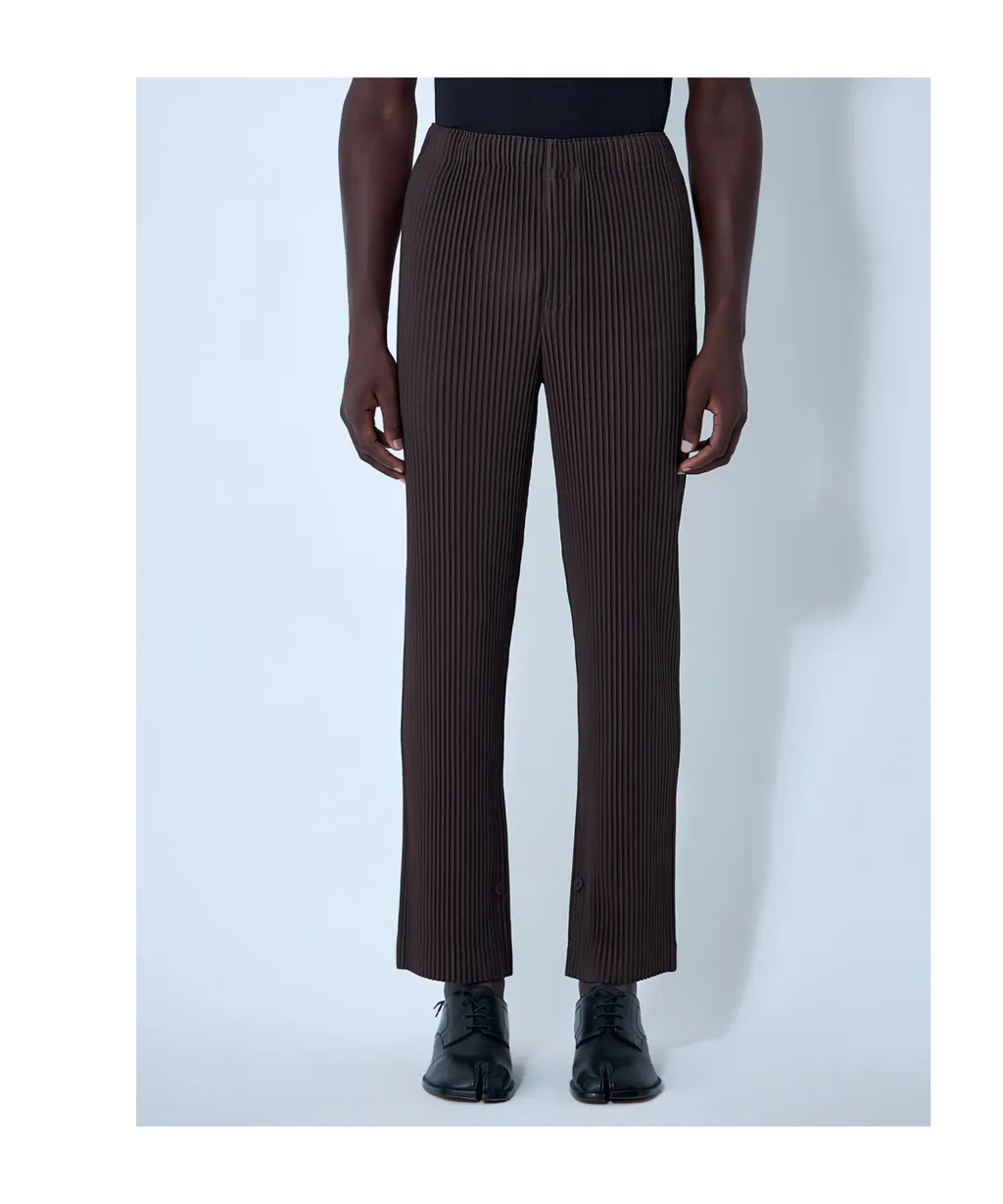 Pleated Trousers