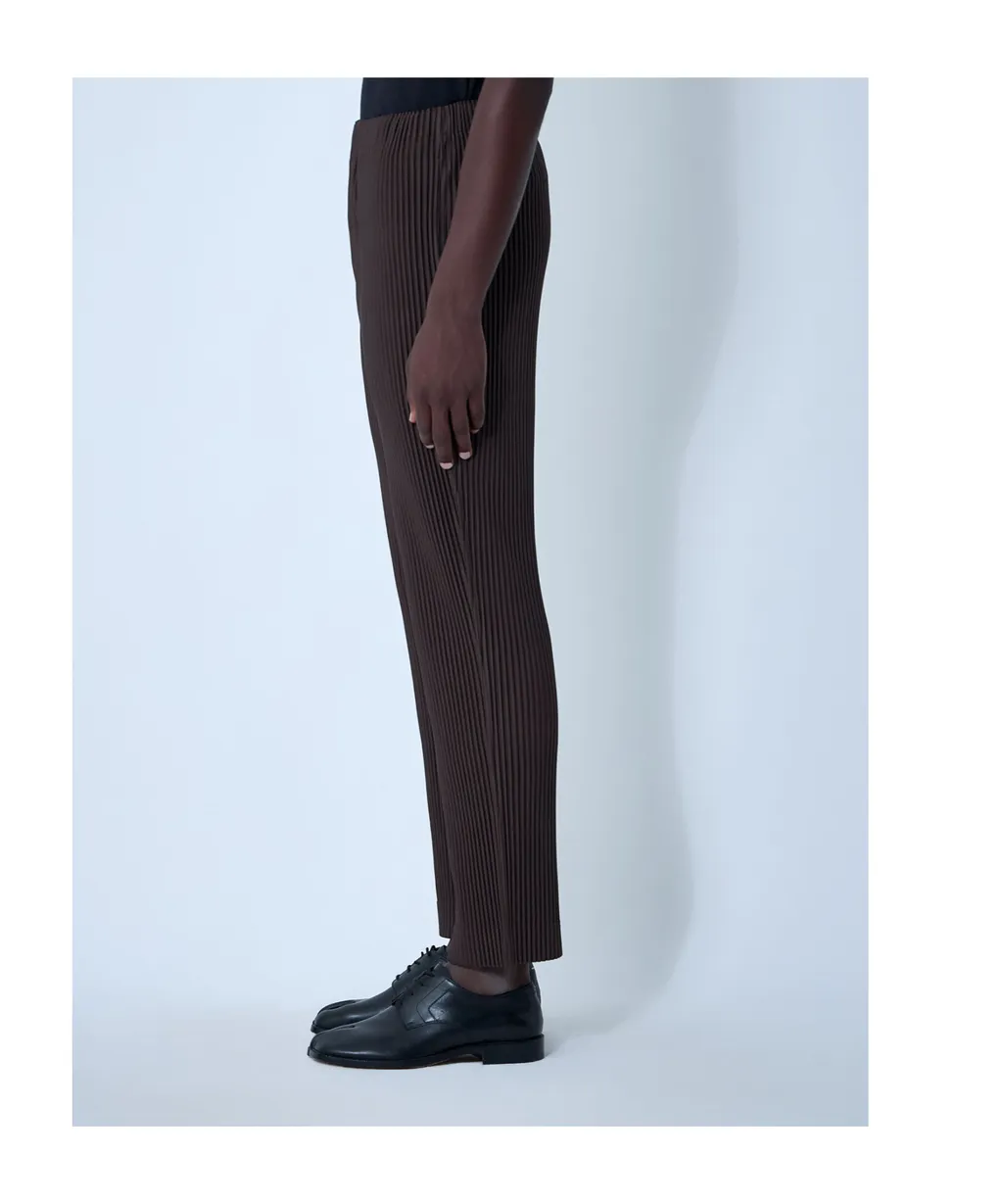 Pleated Trousers