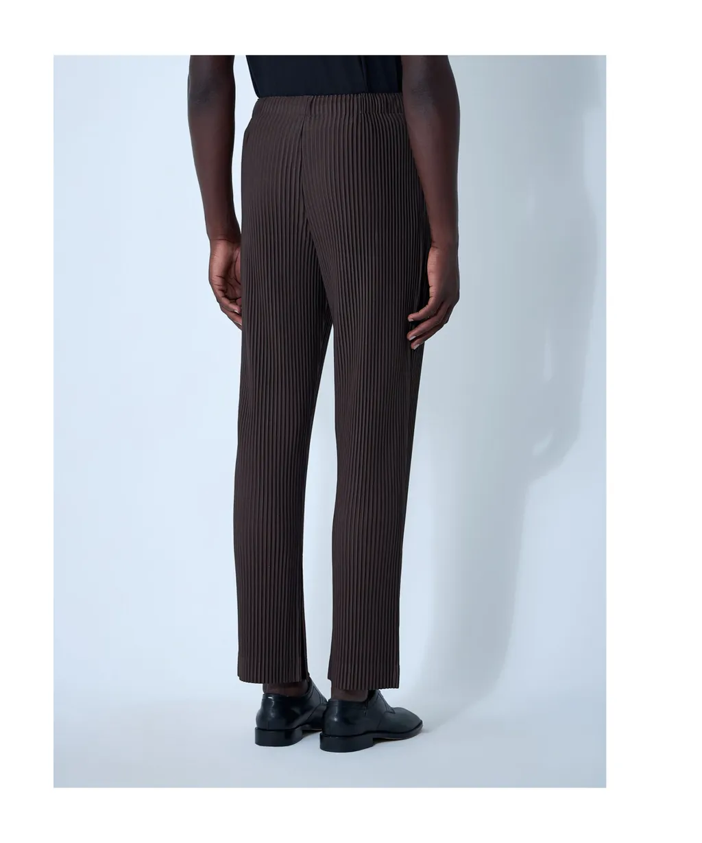 Pleated Trousers
