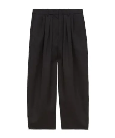 Pleated Trousers