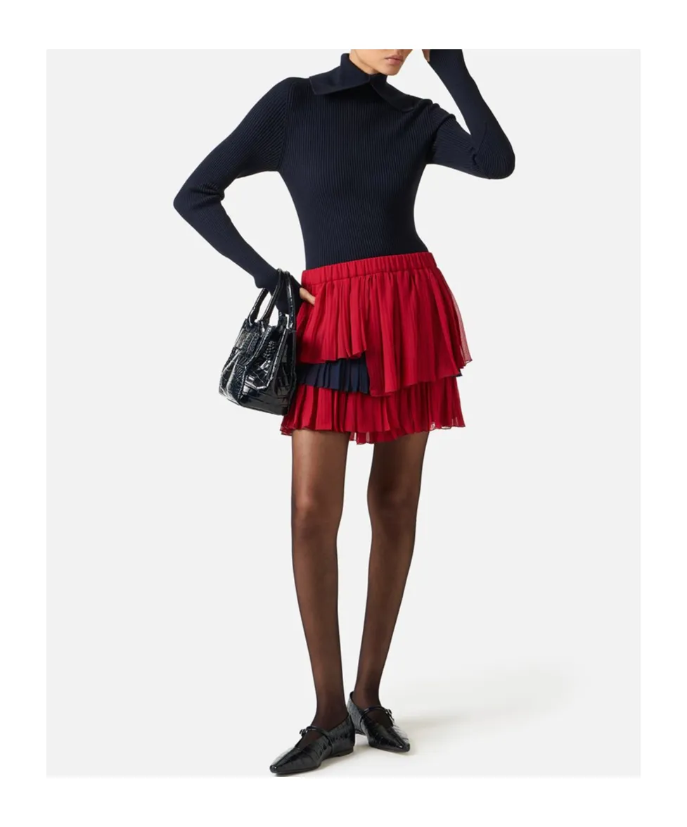 Ruffled Pleated Skirt