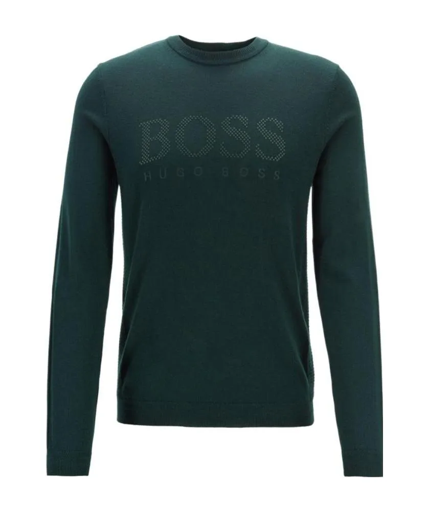 Logo Pullover