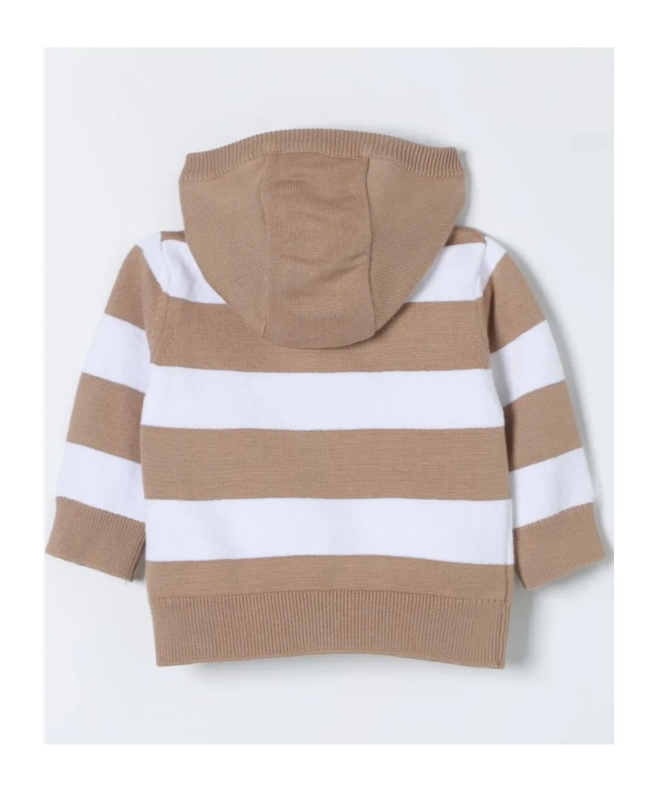 Striped Knit Hoodie
