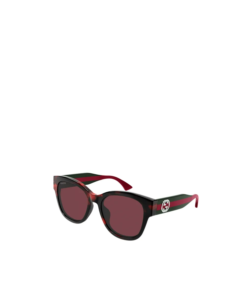 Full Frame Sunglasses